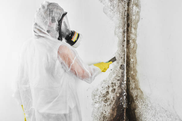 Best Post-Remediation Services in The Village Of Indian Hill, OH