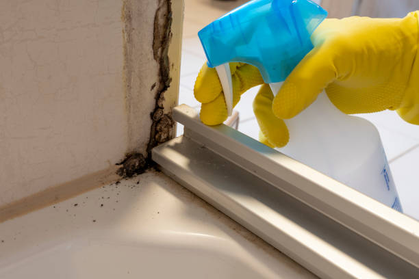 Best HVAC Mold Remediation in The Village Of Indian Hill, OH