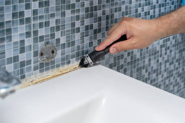 Best Residential Mold Remediation in The Village Of Indian Hill, OH