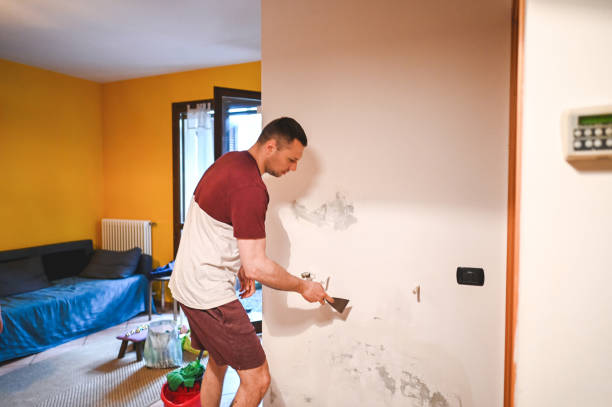 Best Basement Mold Remediation in The Village Of Indian Hill, OH